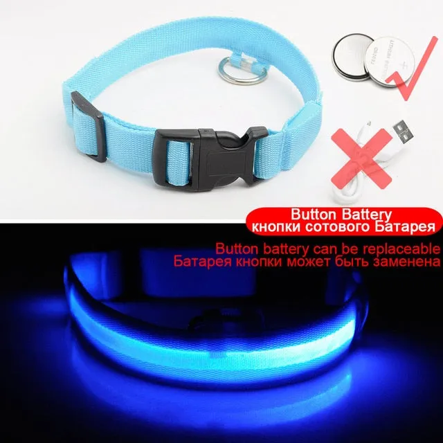 Nylon LED Pet Dog Collar Night