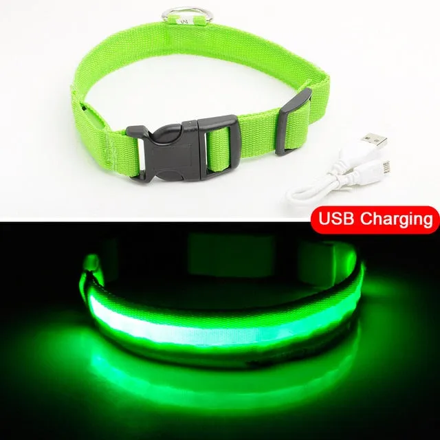 Nylon LED Pet Dog Collar Night