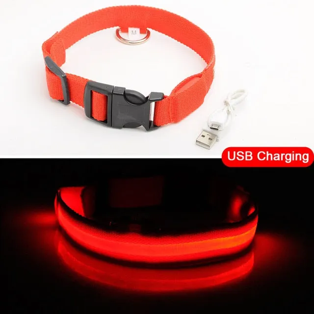 Nylon LED Pet Dog Collar Night