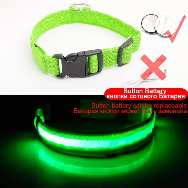 Nylon LED Pet Dog Collar Night