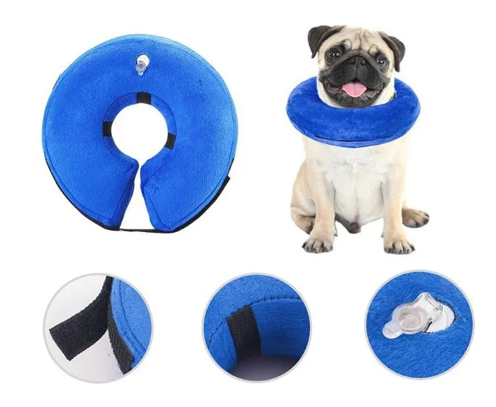 Protective Inflatable Collar for Dogs and Cats - Size L