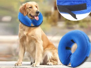 Protective Inflatable Collar for Dogs and Cats - Size L