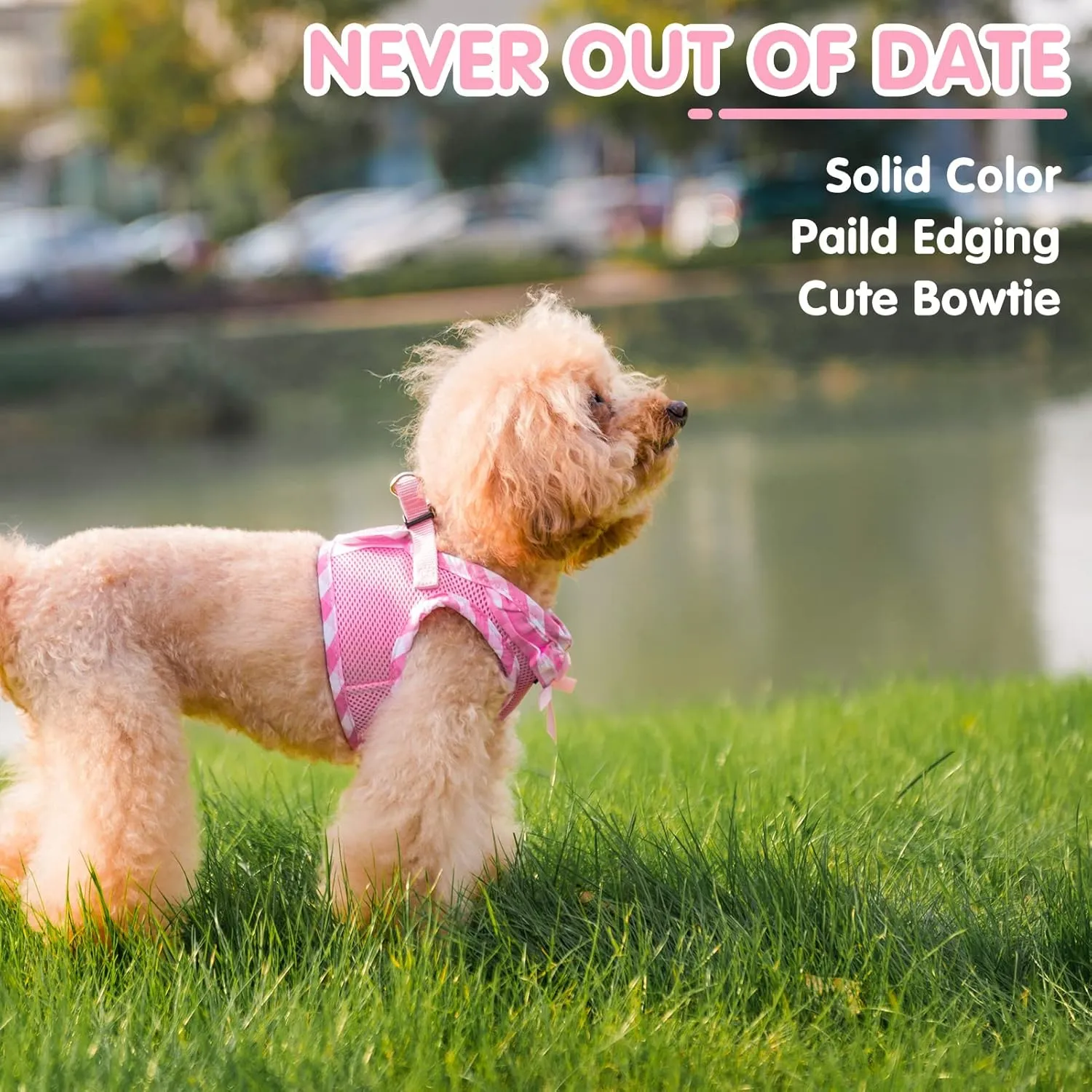 PUPTECK Dog Harness for Puppy and Small Sized Dogs, Step-in No Pull Soft Mesh Vest Harness for Cats Small Pets Walking, Pink, New S