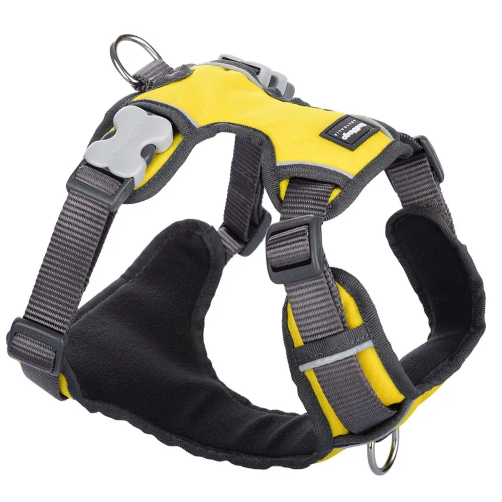 Red Dingo Padded Dog Harness (Medium)