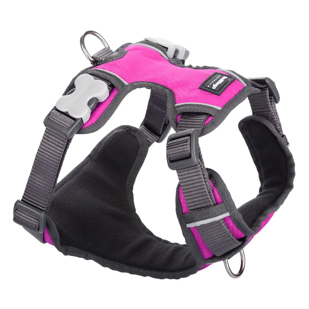 Red Dingo Padded Dog Harness (Medium)