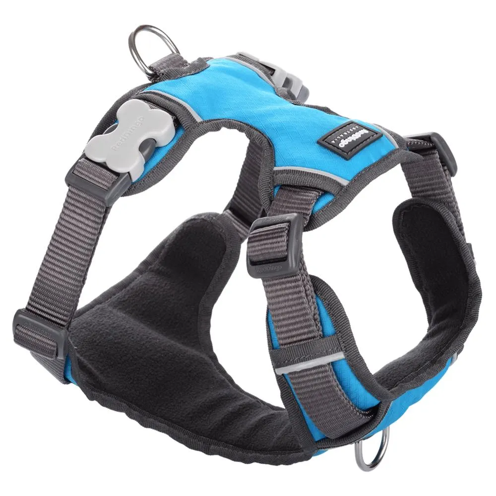 Red Dingo Padded Dog Harness (Medium)