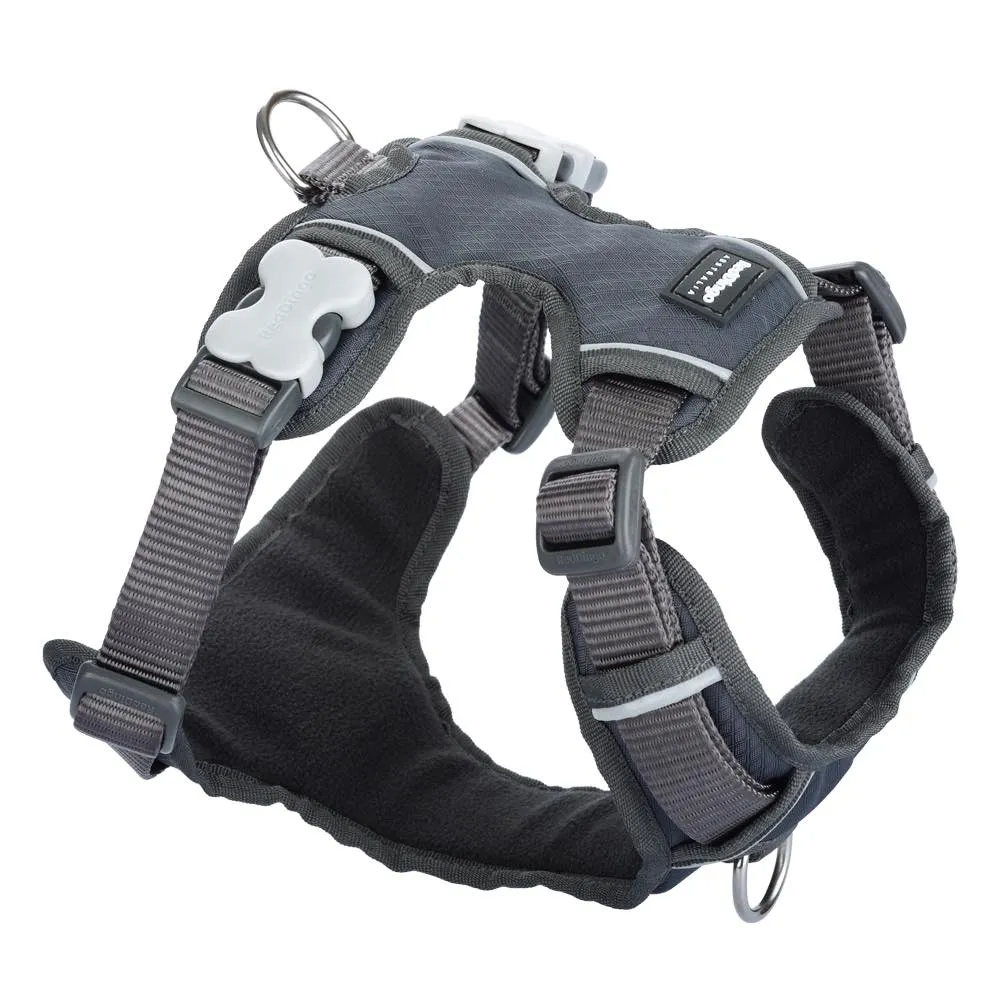 Red Dingo Padded Dog Harness (Medium)