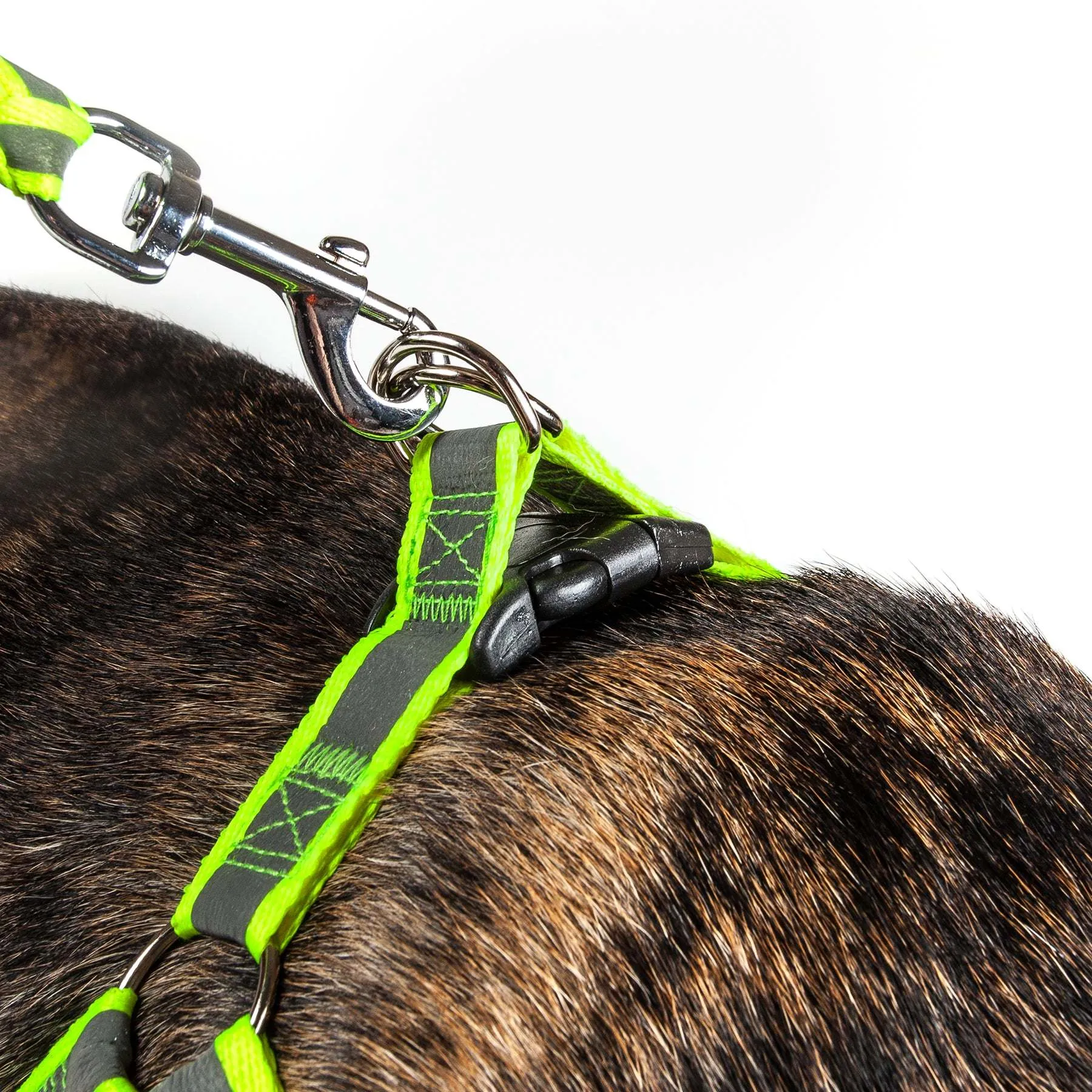 Reflective dog leash and harness Straps