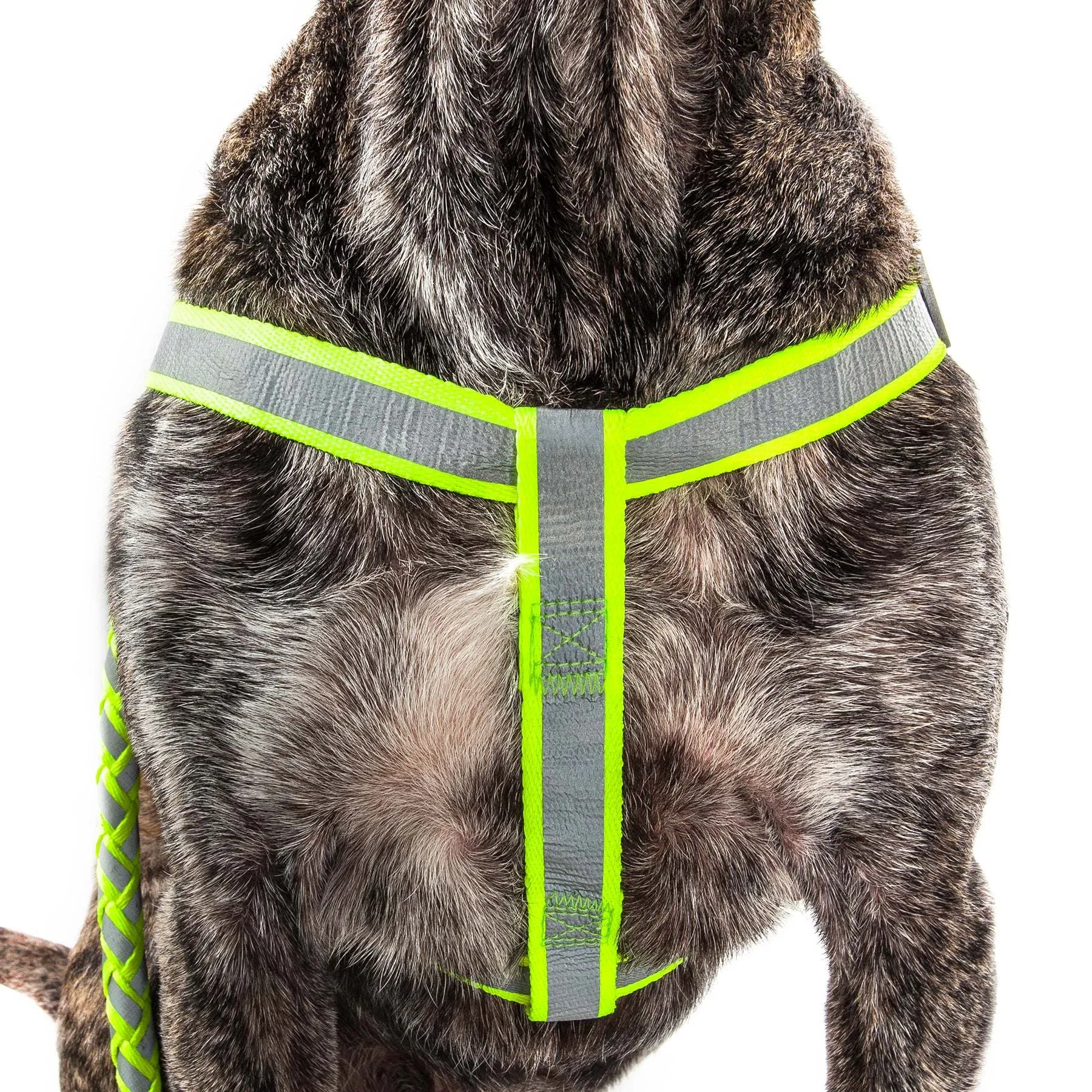 Reflective dog leash and harness Straps