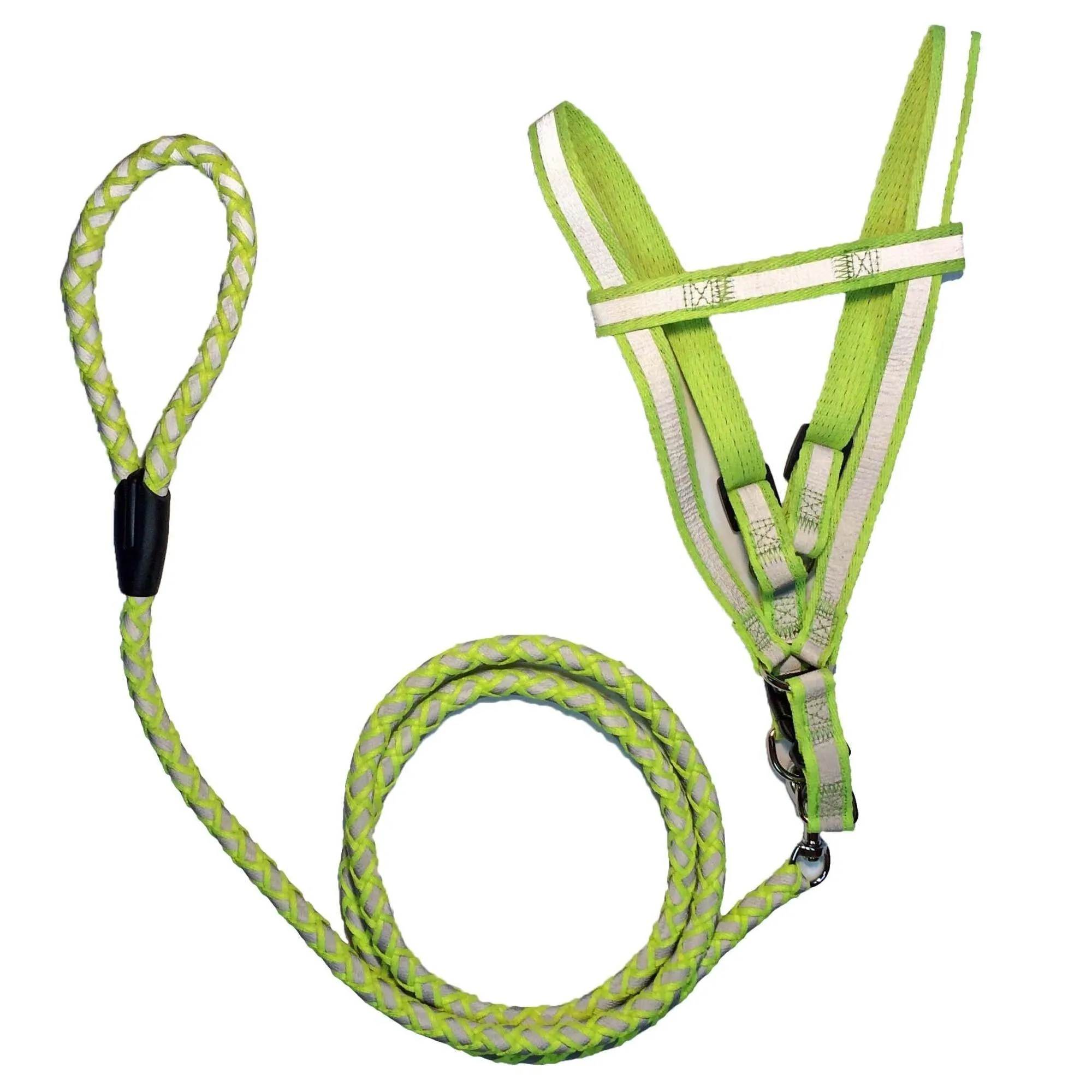 Reflective dog leash and harness Straps