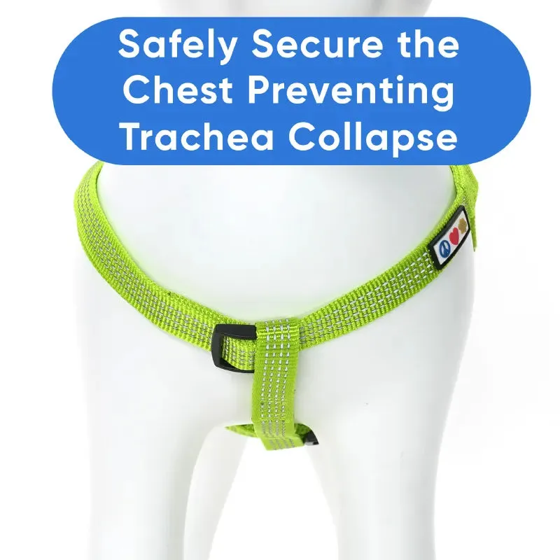 Reflective Step-In Dog Harness