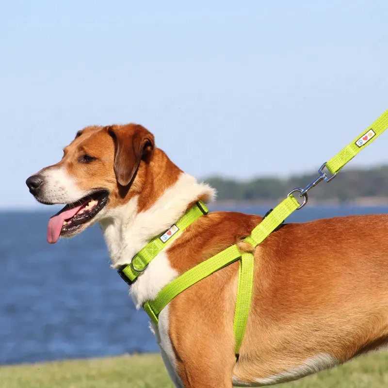 Reflective Step-In Dog Harness