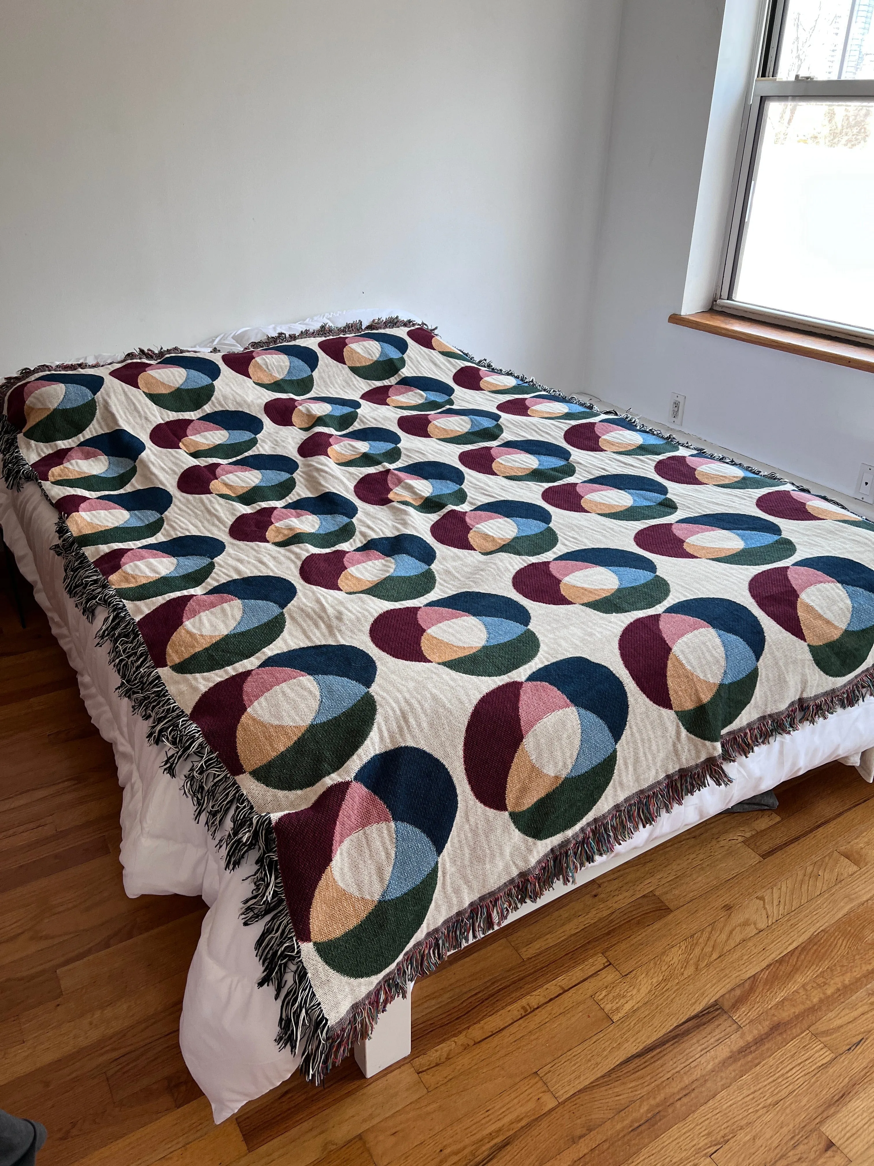 RoY G Biv Logo Blanket