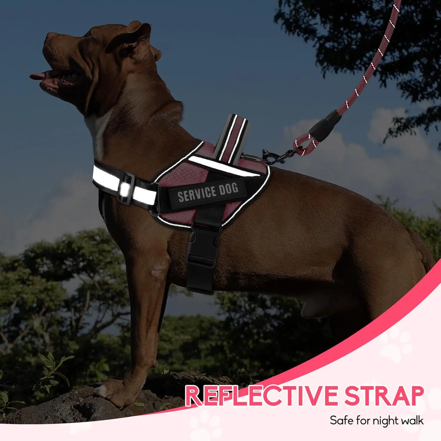 Service Dog Vest Harness and Leash Set, Animire in Training Dog Harness with 10 Dog Patches, Reflective Dog Leash with Soft Padded Handle for Small, Medium, Large, and Extra-Large Dogs (Rosy,S)
