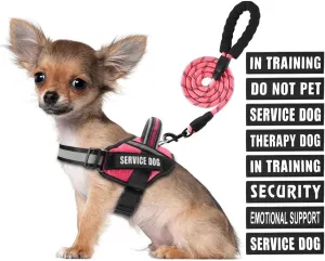 Service Dog Vest Harness and Leash Set, Animire in Training Dog Harness with 10 Dog Patches, Reflective Dog Leash with Soft Padded Handle for Small, Medium, Large, and Extra-Large Dogs (Rosy,S)