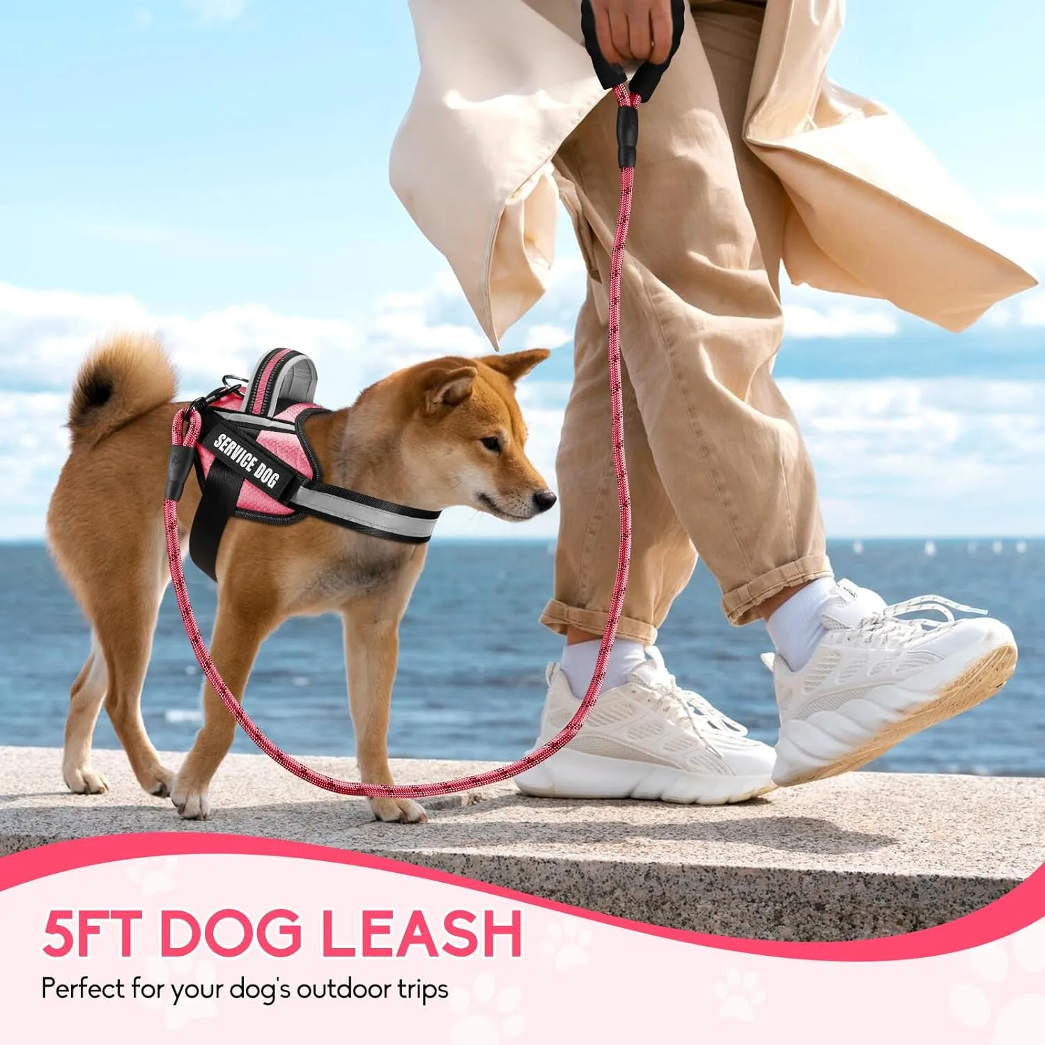 Service Dog Vest Harness and Leash Set, Animire in Training Dog Harness with 10 Dog Patches, Reflective Dog Leash with Soft Padded Handle for Small, Medium, Large, and Extra-Large Dogs (Rosy,S)