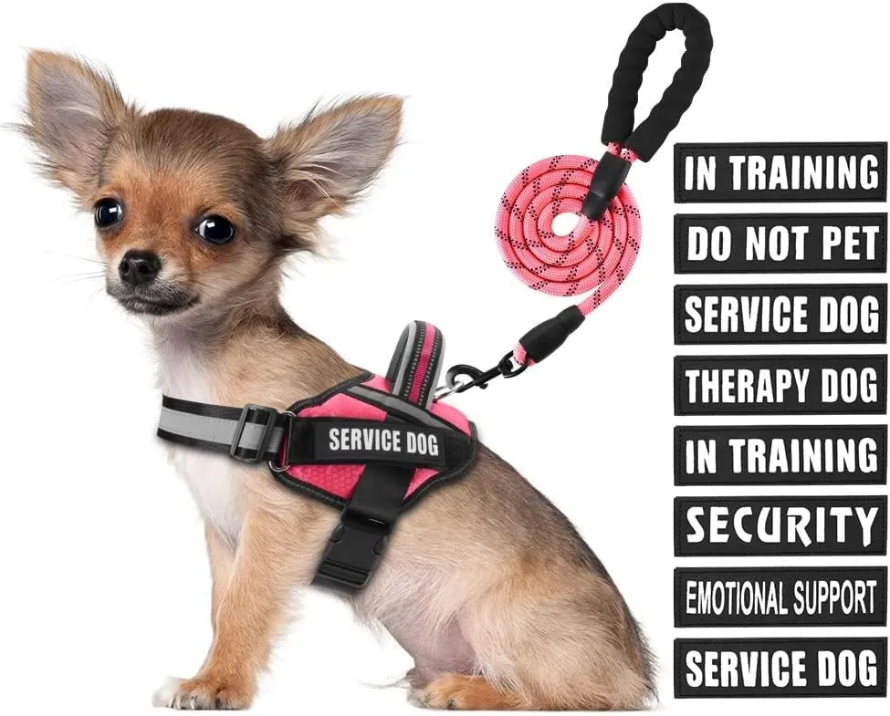 Service Dog Vest Harness and Leash Set, Animire in Training Dog Harness with 10 Dog Patches, Reflective Dog Leash with Soft Padded Handle for Small, Medium, Large, and Extra-Large Dogs (Rosy,S)