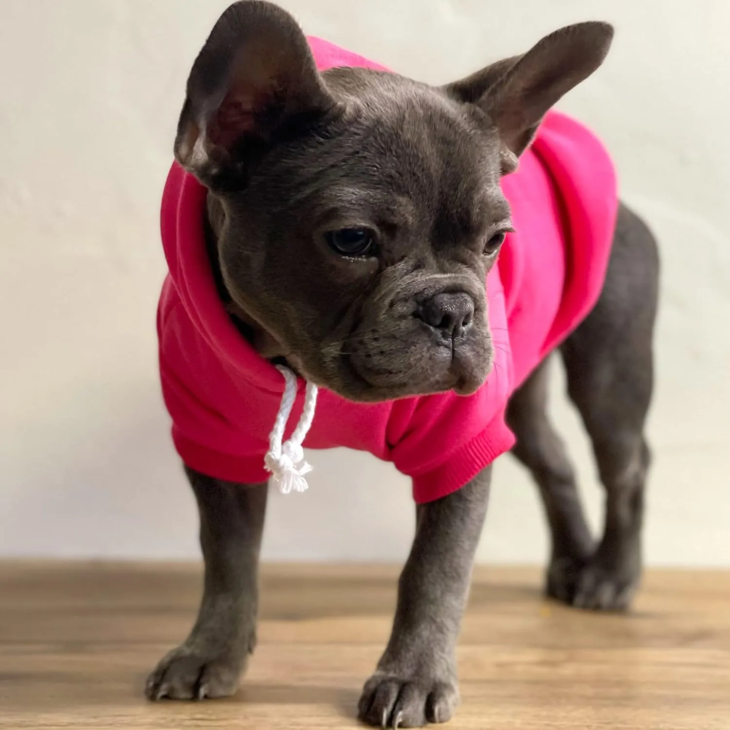 Shake Your Cotton Tail Easter Dog Hoodie Fleece Lined Pullover Sweatshirt with Leash Hole (Baby Pink, 4X-Large 1211)
