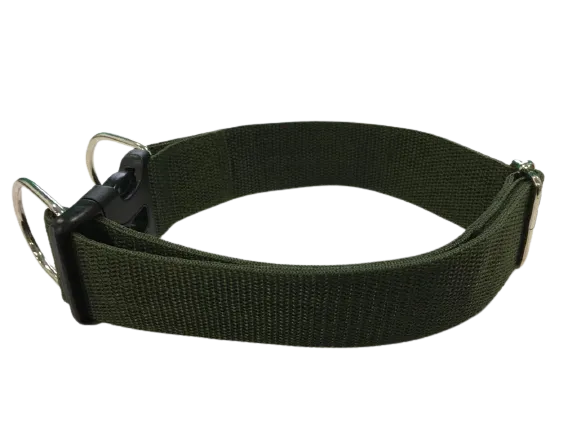 Simple Dog Collar for Large Breeds