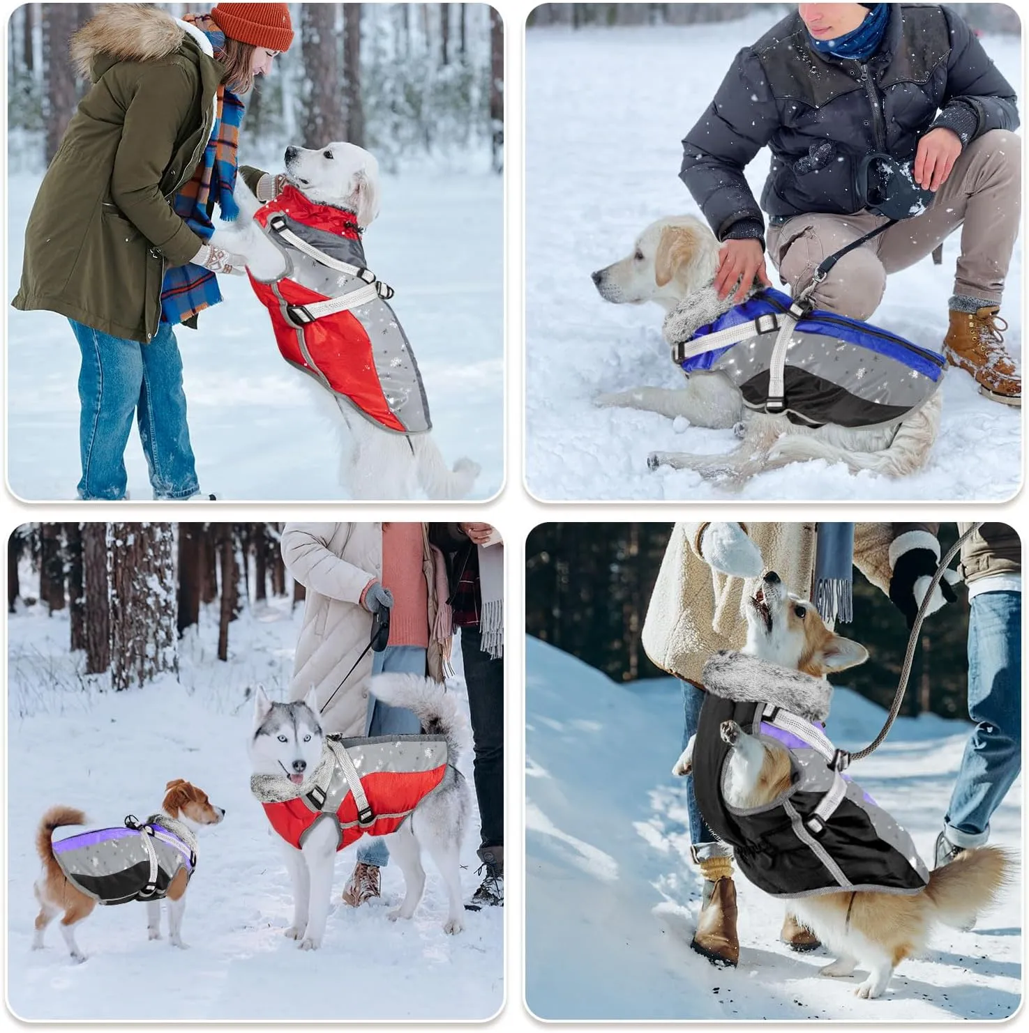 SlowTon Dog Jacket with Harness Built in, Waterproof Fleece Winter Warm Dog Coats for Small Medium Dogs, Reflective Adjustable Furry Puppy Vest Clothes for Outdoor Walking (Blue,Size X-Small)