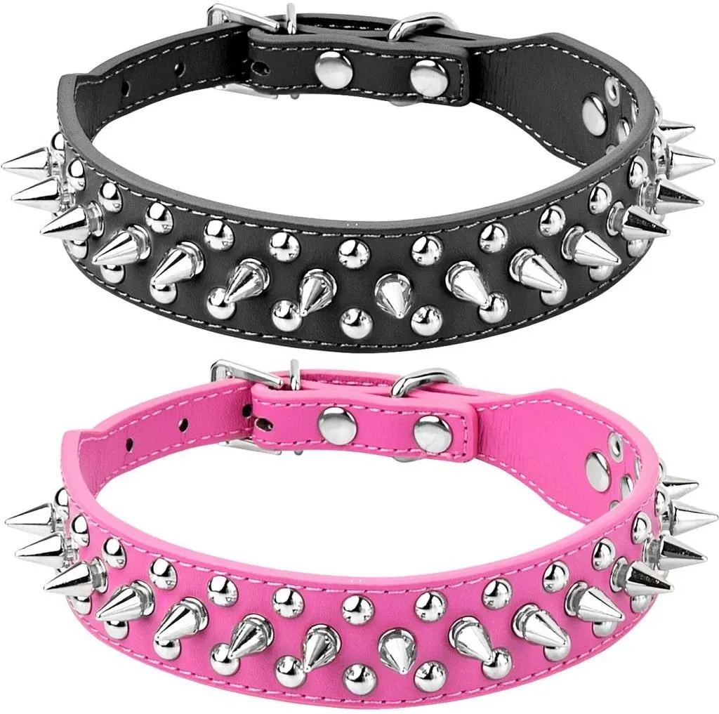 Spiked Leather Dog Collar