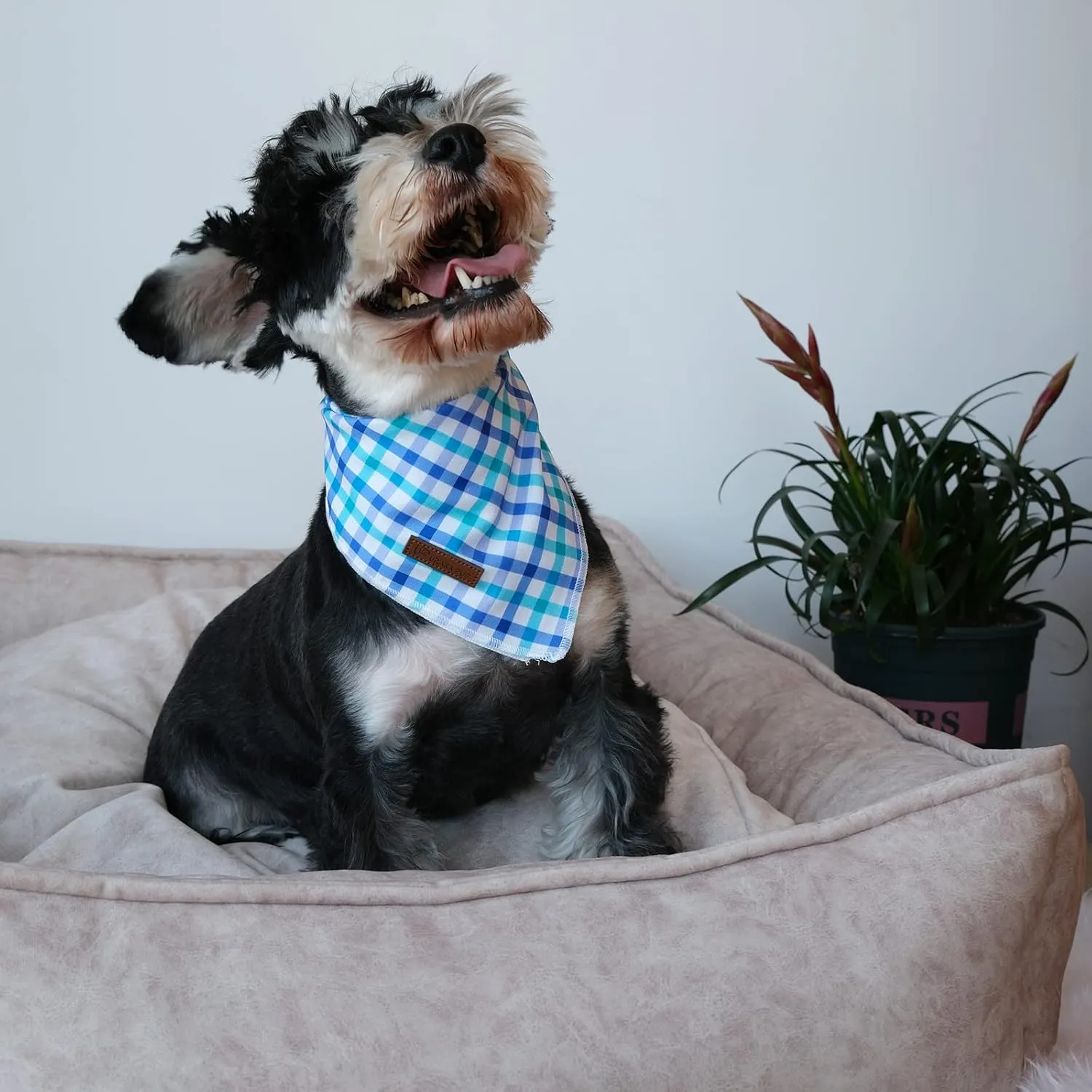 Summer Bandana - Comfortable Cotton Grid Triangle Bid Scarf for Puppy, Washable Pet Kerchief for Boy or Girl Dogs or Cats, Blue and White Cute Bandana, Classic Dog Bid Scarf