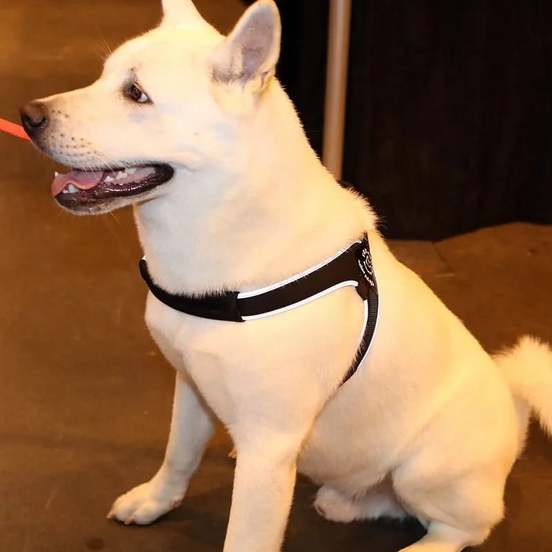 Tre Ponti Brio Harness for Medium & Larger Dogs
