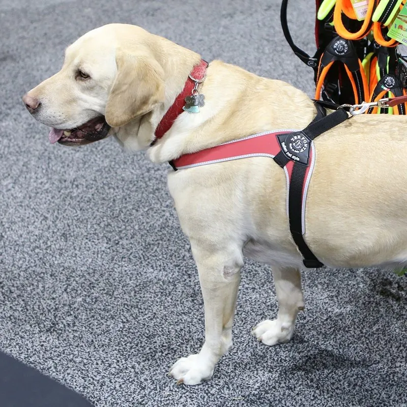 Tre Ponti Brio Harness for Medium & Larger Dogs