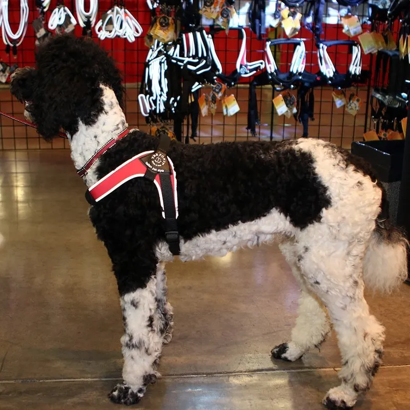 Tre Ponti Brio Harness for Medium & Larger Dogs