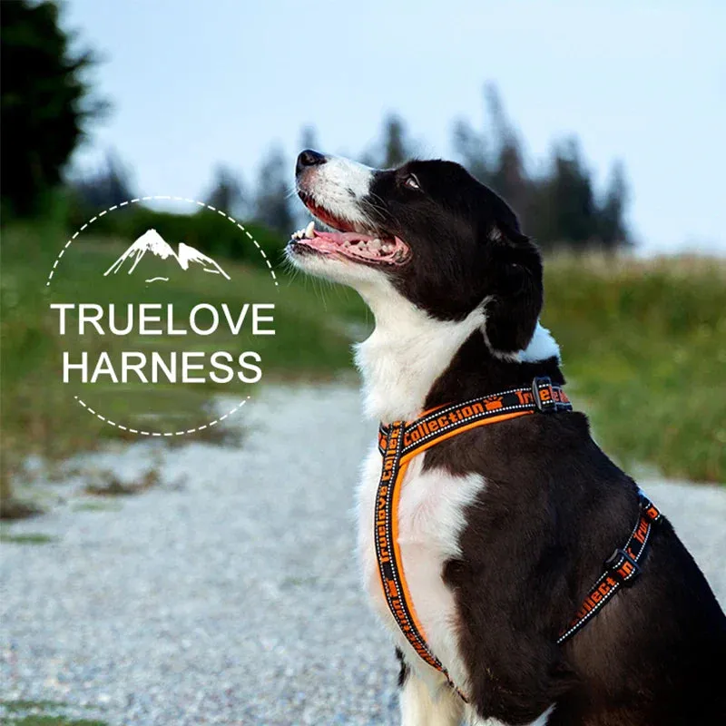 Truelove Reflective No-Pull Dog Harness - Tactical Military Training Design with Neoprene Padding and Adjustable Comfort Mesh