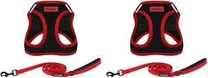 Voyager  5 ( 1.5 ), Best Pet Supplies  - ,L (2 )