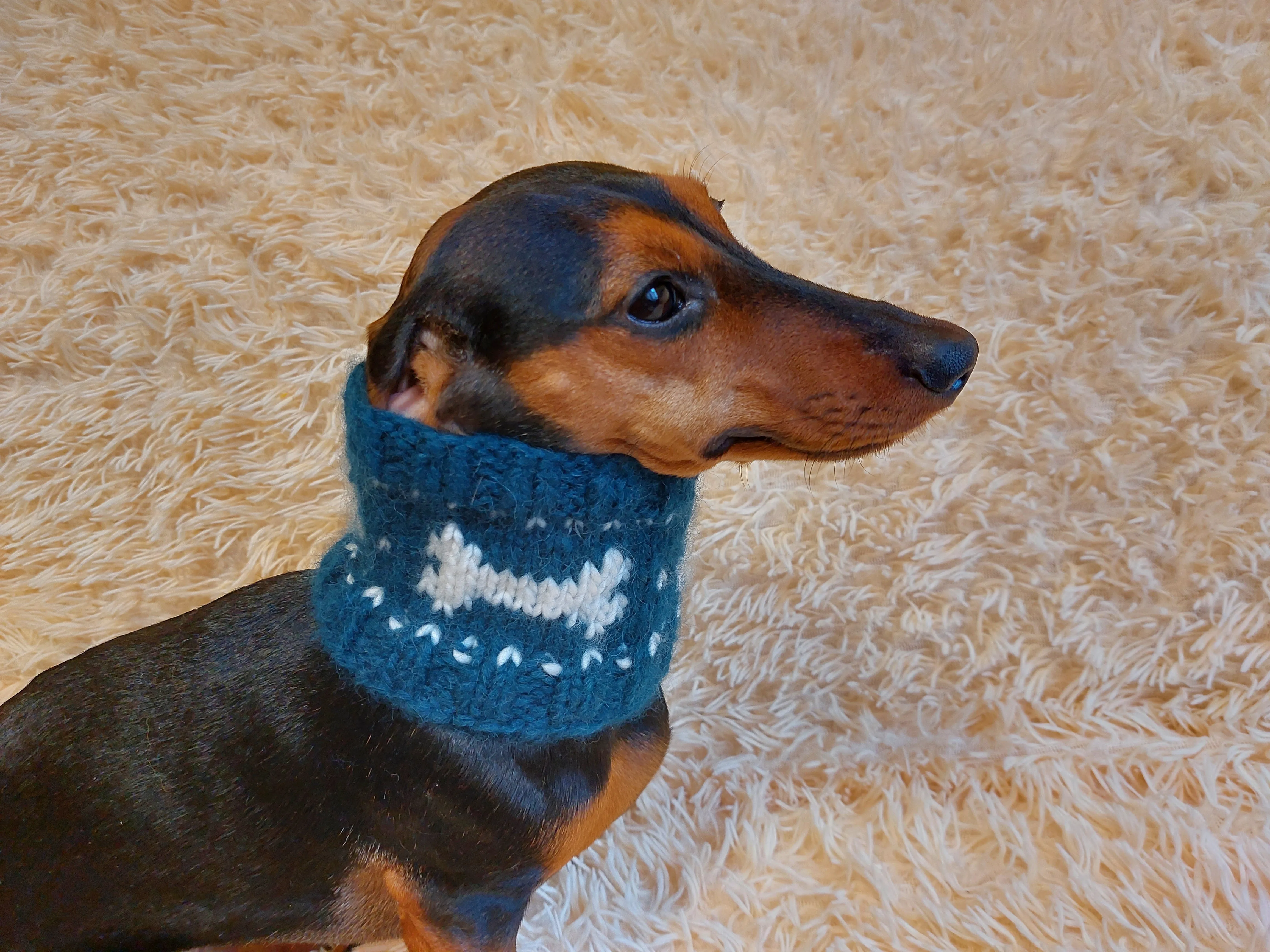 Wool snood collar for pets with bones, dog snood with warm neck made of wool with bones