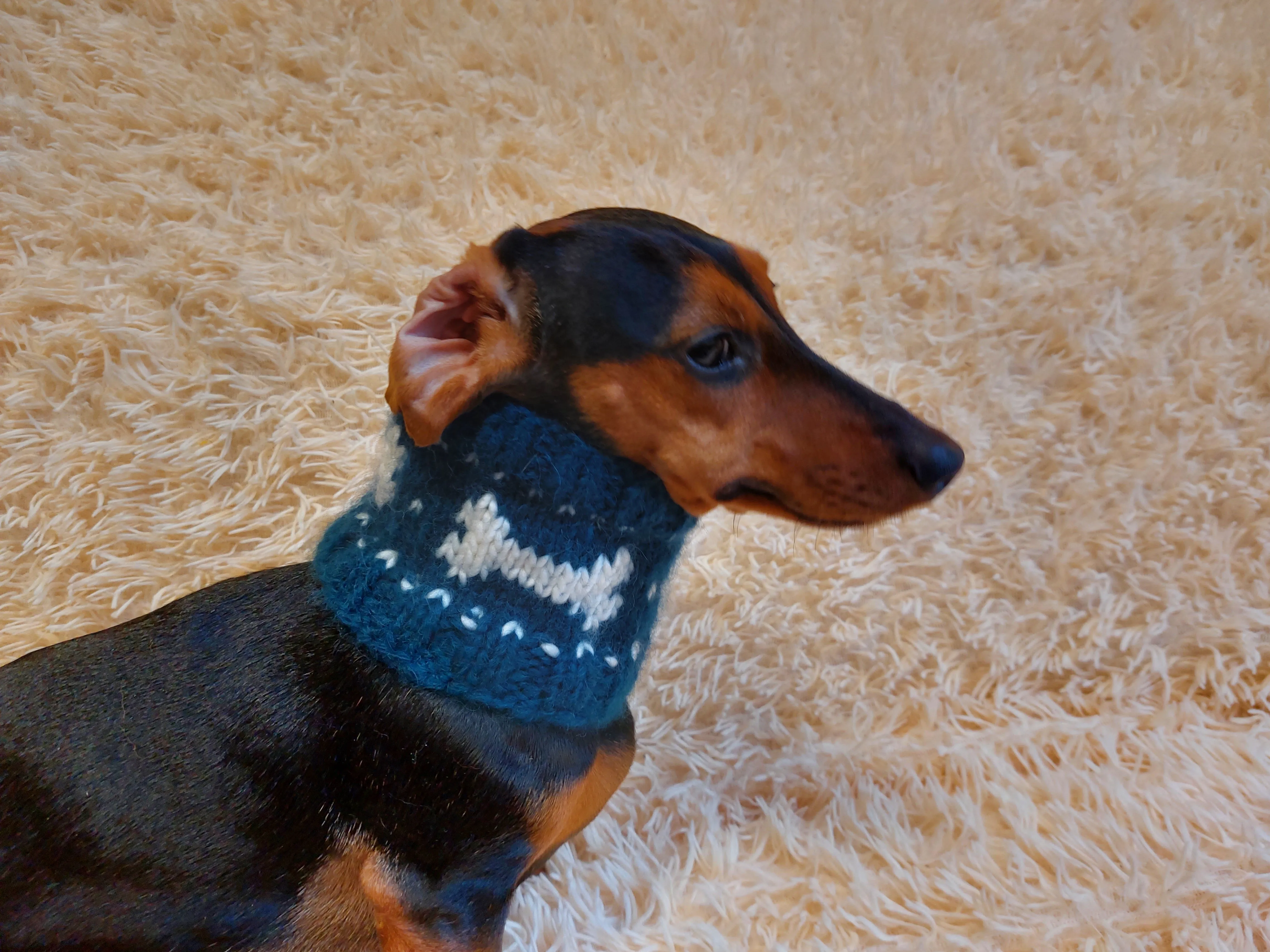 Wool snood collar for pets with bones, dog snood with warm neck made of wool with bones