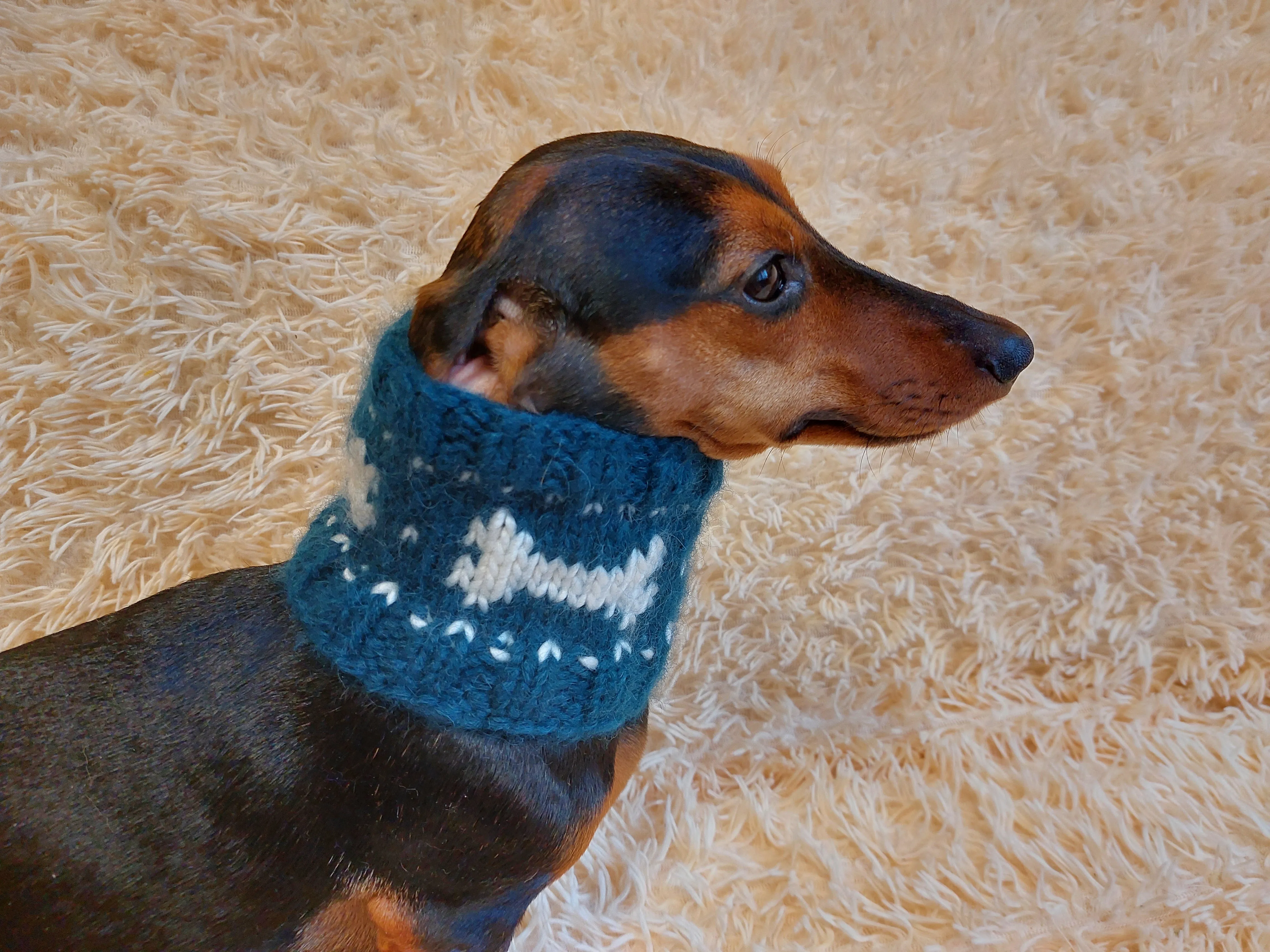 Wool snood collar for pets with bones, dog snood with warm neck made of wool with bones