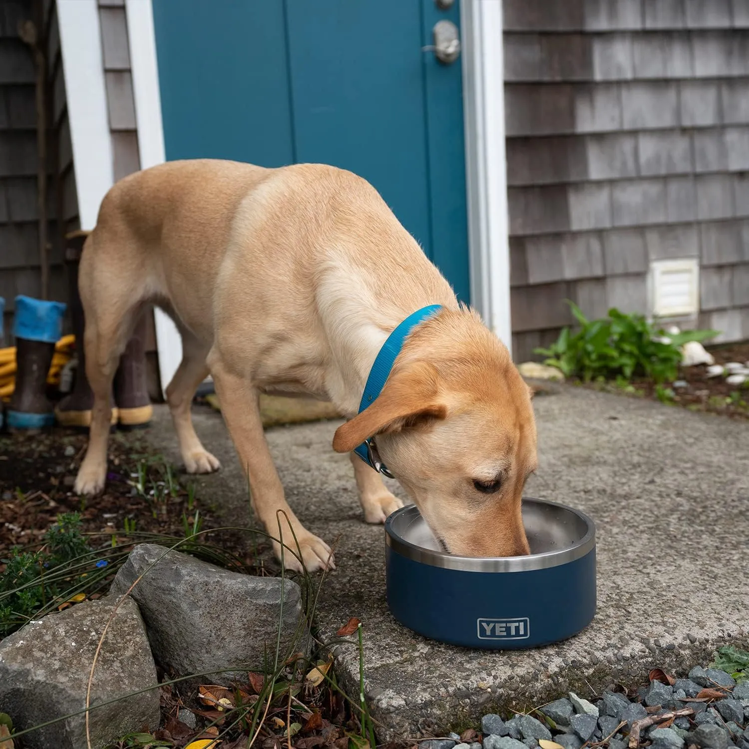YETI Boomer 8, Stainless Steel, Non-Slip Dog Bowl, Holds 64 Ounces